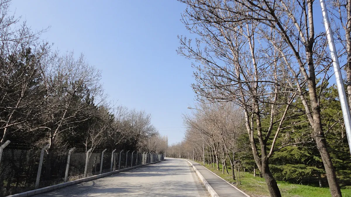 Campus road at Bilkent University in Ankara
