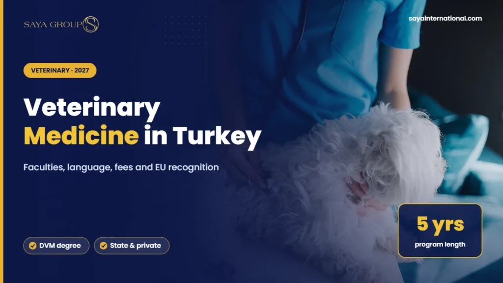 Study veterinary medicine in Turkey: veterinarian examining a small dog with a stethoscope