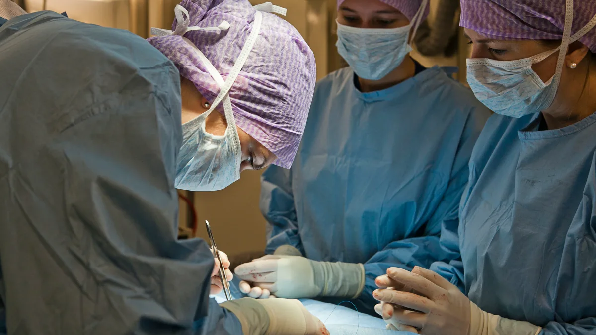 Veterinary students in surgery at a university animal hospital