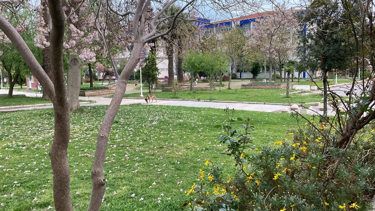Ege University campus in Bornova, one of the main options for studying in Izmir