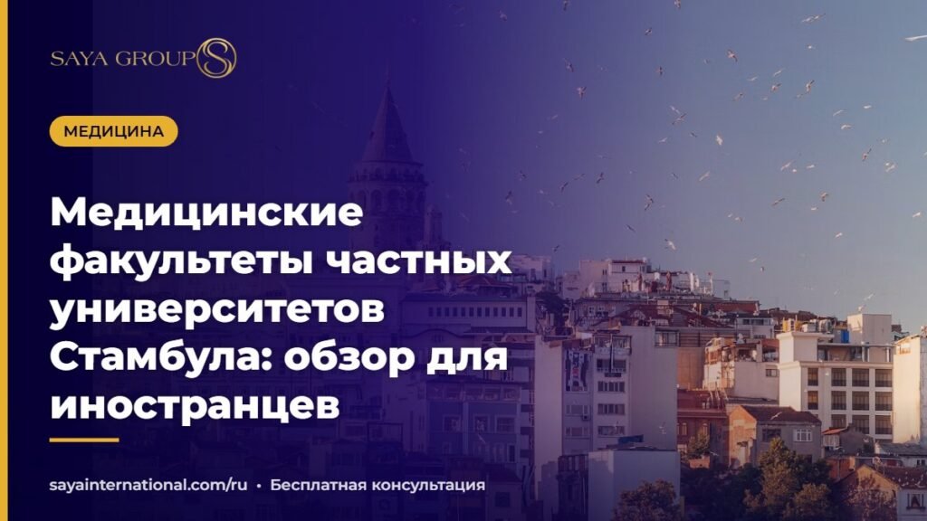 Вид на Стамбул — медицинские университеты Стамбула для иностранных студентов