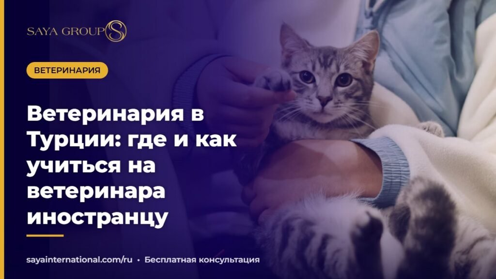 Студенты-ветеринары осматривают животное — ветеринария в Турции для иностранцев